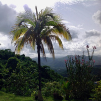 0129 AjiTerapia 07 Diciembre 2016 VersoTerapia Pensamientos organizados La Palabra