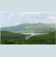 Domitilo Negron Garcia desde Walter McK Jones