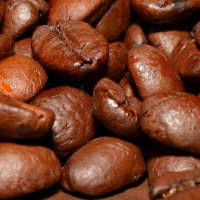 Un ejemplo de Barista con ilusión