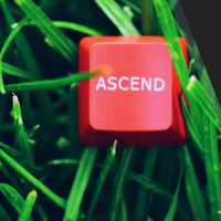 12 Ways to Take Your Writing to the Next Level: Tips on How to Improve Your Writing Skills