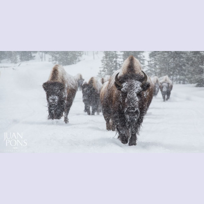 F8 | The Photographers Perspective