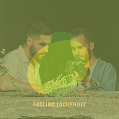 Falling Jackfruit