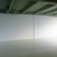 Conceptuele Kunst uitgelegd door Kees van Gelder