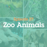 Episode 27: Zoo Animals