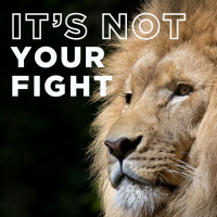 Its Not Your Fight