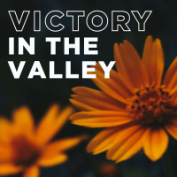 Victory in the Valley