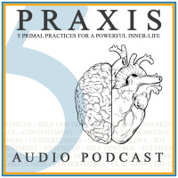 Gratitude: Power of Perspective (Day 19)