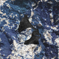 II.I. How Gold the Flecks of Gold