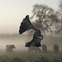 I. Death Being An Easy Disease to Fake