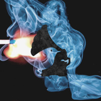 II.VI. And All It Failed to Spare