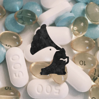 II.IV Today, Aria Tomorrow, Dirge