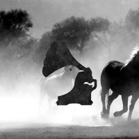 II.III Who They Have to Answer To