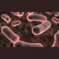 Episode 39, “Plagues of Tékumel”