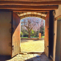 Ariele, di Silvia Collini