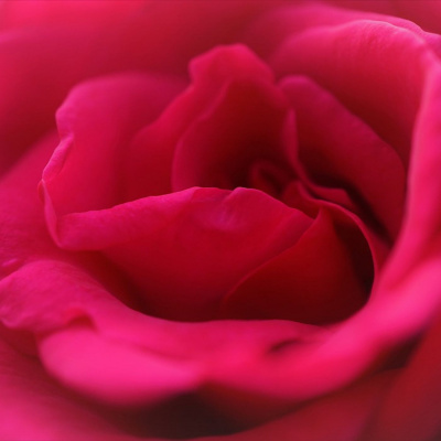 I racconti di Writer Monkey