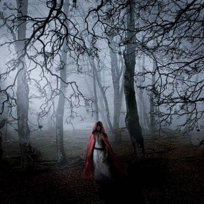 I racconti di Writer Monkey