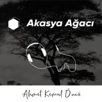 Akasya Ağacı
