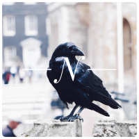 Minitrama #07 - Noite dos Corvos