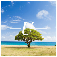 Minitrama #05 - Um Plantador