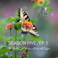 S5/EP5: The Collective Light Interview with Meredith Griffin