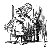 #8 Na toca da escrita: entre o real e o imaginário na literatura