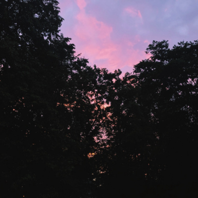 Paideutics of a Pseudonym 