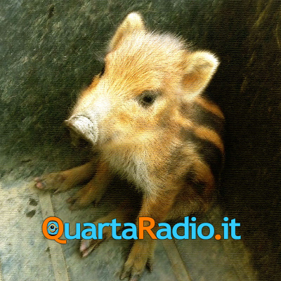 Quarta Radio - Verga, tutte le novelle