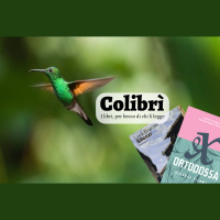 Colibrì 06