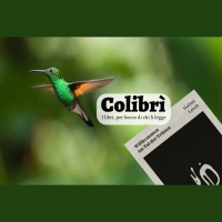 Colibrì 08
