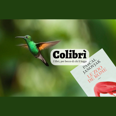 Radio Gwendalyn 2019/2020 - Part 1