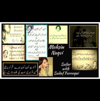 Mohsin Naqvi मोहसिन नक़वी محسن نقوی Safar with Sadaf Farooqui