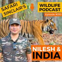 #010 - Nilesh Tells Us All About India - Safari Sinclair Wildlife Podcast