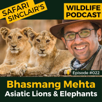 #022 - Bhasmang, Asiatic Lions  Elephants - Safari Sinclair Wildlife Podcast