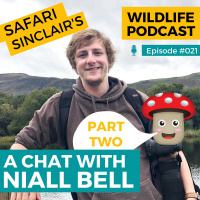 #021 - Niall  British Wildlife -PART 2 - Safari Sinclair Wildlife Podcast