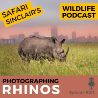 #013 - Photographing Rhinos - Safari Sinclair Wildlife Podcast