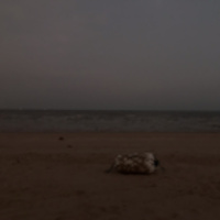 Safe Records Vol.8 ｜ 劫后余生