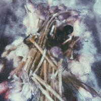 我们为什么入坑耽*美