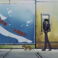 Safe Records Vol.5 | I wish you were here