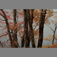 Safe Records Vol.2 | 盲目之秋