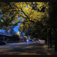 Safe Records Vol.12 ｜ one day in summer