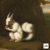 Montako tuoppia saa yhdellä mytologisella oravannahalla? 