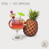 Episode : 1 - Video Compression : x265 via Handbrake