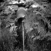 Holga with a shutter...2!