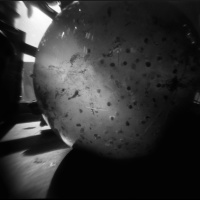 Tadpole tales - a pinhole quickie