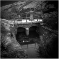 The Greenfield Gamble