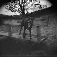 The Holga trilogy - Episode 1