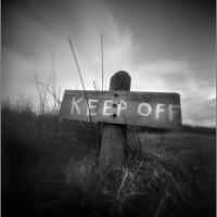 Scotland 2020: Strangefinder time