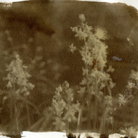 Adevntures with Albumen - Episode 2