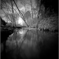 Worldwide Pinhole Day 2021 special!