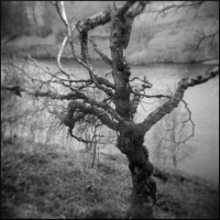The Holga trilogy - Episode 2